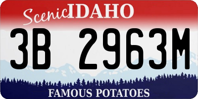 ID license plate 3B2963M