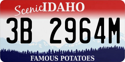 ID license plate 3B2964M