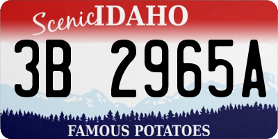 ID license plate 3B2965A