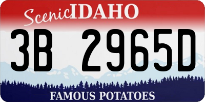 ID license plate 3B2965D