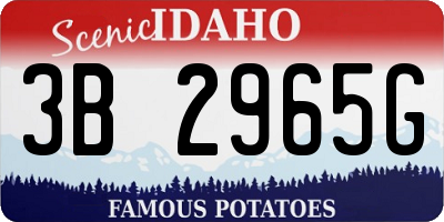 ID license plate 3B2965G