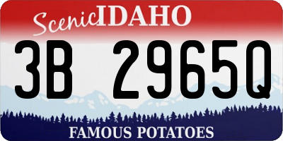 ID license plate 3B2965Q