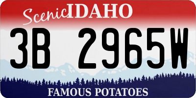ID license plate 3B2965W