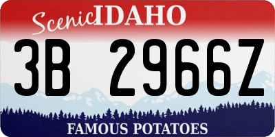 ID license plate 3B2966Z
