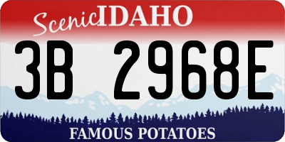 ID license plate 3B2968E