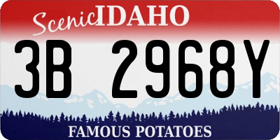 ID license plate 3B2968Y