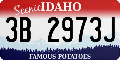 ID license plate 3B2973J