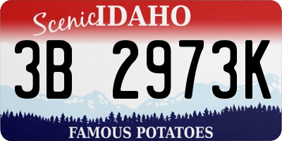 ID license plate 3B2973K