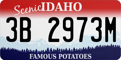 ID license plate 3B2973M