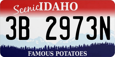 ID license plate 3B2973N
