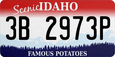 ID license plate 3B2973P