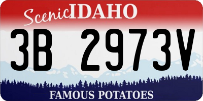 ID license plate 3B2973V