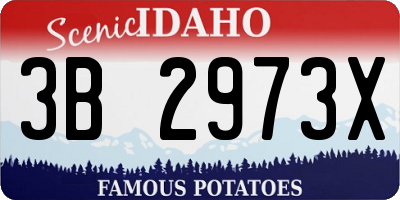 ID license plate 3B2973X