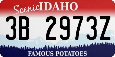 ID license plate 3B2973Z