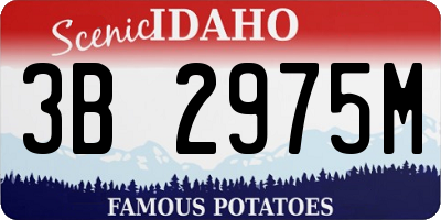 ID license plate 3B2975M