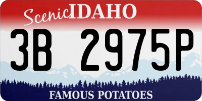 ID license plate 3B2975P