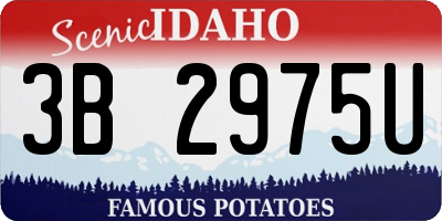 ID license plate 3B2975U