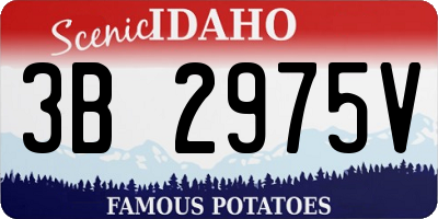 ID license plate 3B2975V