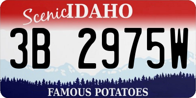 ID license plate 3B2975W