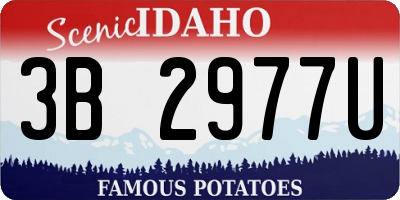 ID license plate 3B2977U