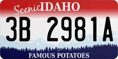 ID license plate 3B2981A