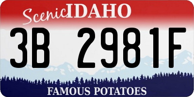 ID license plate 3B2981F