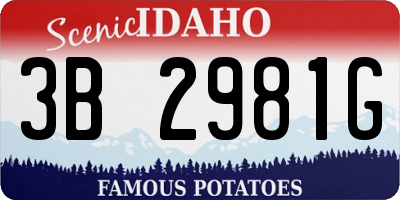 ID license plate 3B2981G