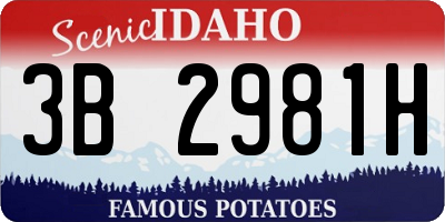 ID license plate 3B2981H