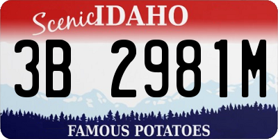 ID license plate 3B2981M
