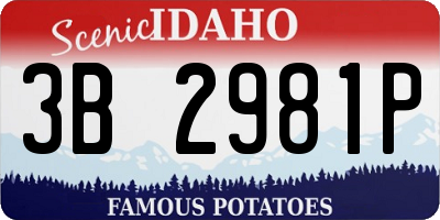 ID license plate 3B2981P