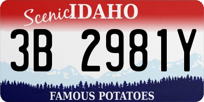 ID license plate 3B2981Y