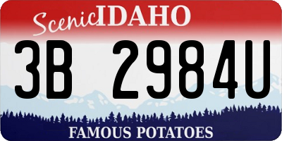 ID license plate 3B2984U
