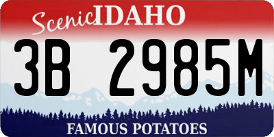 ID license plate 3B2985M