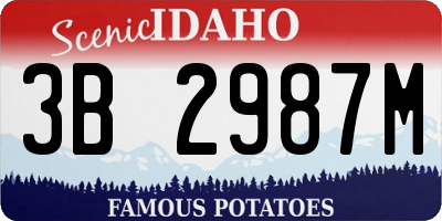 ID license plate 3B2987M