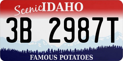 ID license plate 3B2987T