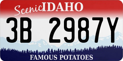 ID license plate 3B2987Y