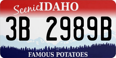 ID license plate 3B2989B