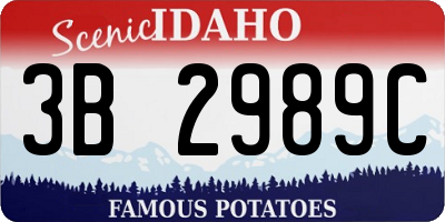 ID license plate 3B2989C