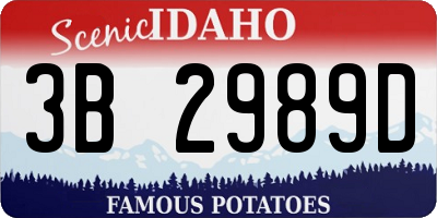 ID license plate 3B2989D