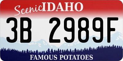 ID license plate 3B2989F