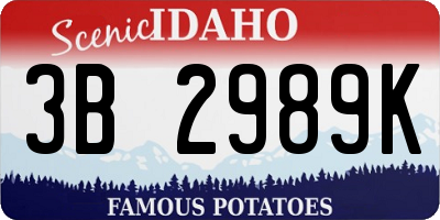 ID license plate 3B2989K