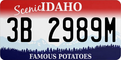 ID license plate 3B2989M