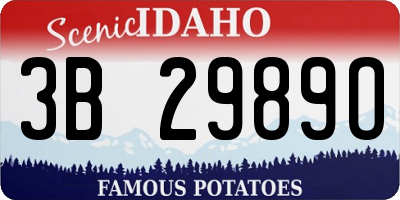 ID license plate 3B2989O