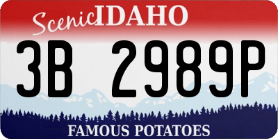 ID license plate 3B2989P