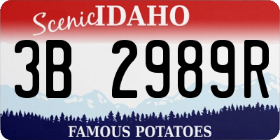 ID license plate 3B2989R