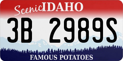 ID license plate 3B2989S