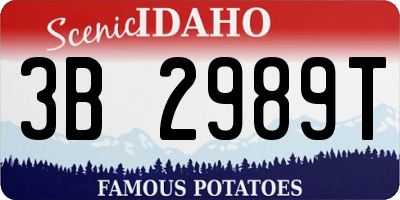 ID license plate 3B2989T