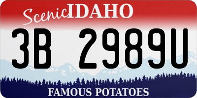 ID license plate 3B2989U