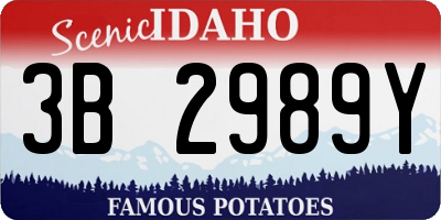 ID license plate 3B2989Y