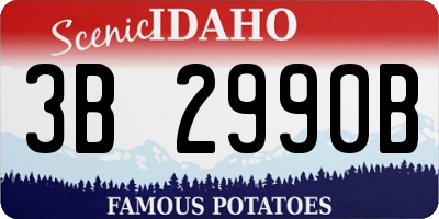 ID license plate 3B2990B